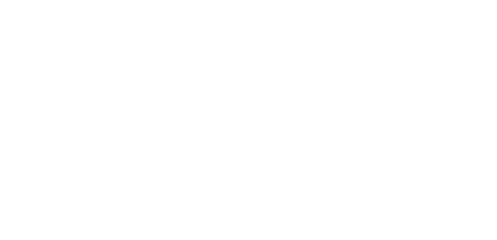 Chasing Spirits